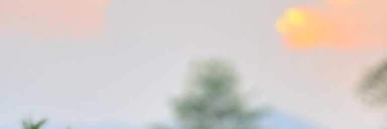nafisadiniw's profile banner image