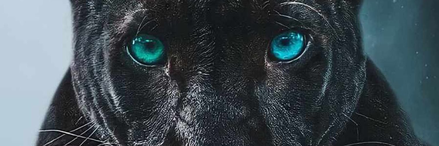jrdayz's profile banner image