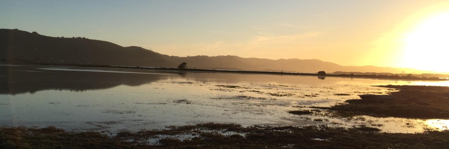 knysna1's profile banner image