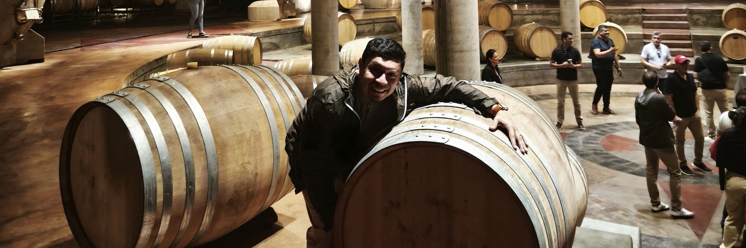 drmirkovic's profile banner image