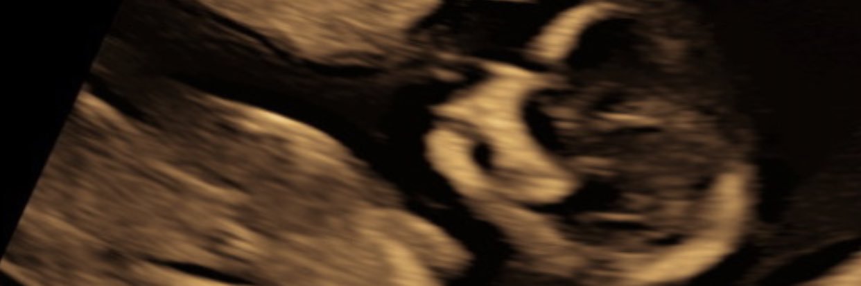 kayfizzy's profile banner image