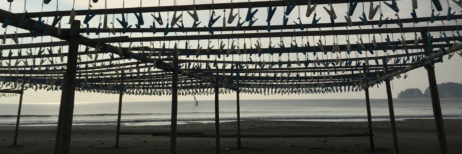 Holly Thompson banner