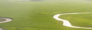 PureLandFound's profile banner image
