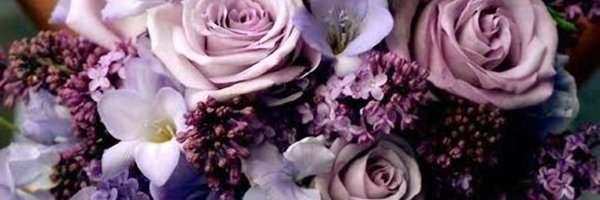 catimsirajpal Profile Banner