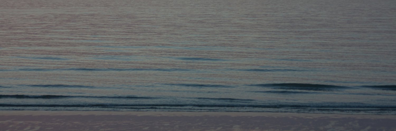 yingwisanee's profile banner image