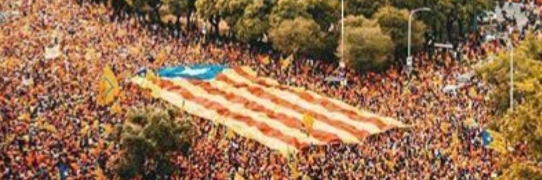 almogaver66's profile banner image