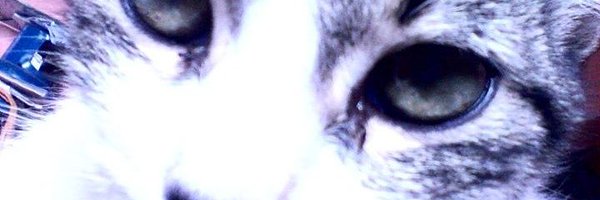 Ary López banner