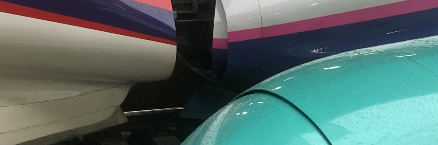 maruhaya's profile banner image