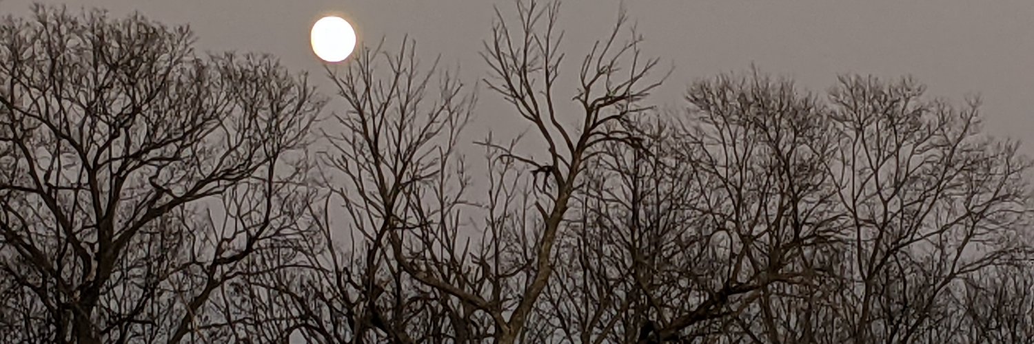bbbush's profile banner image