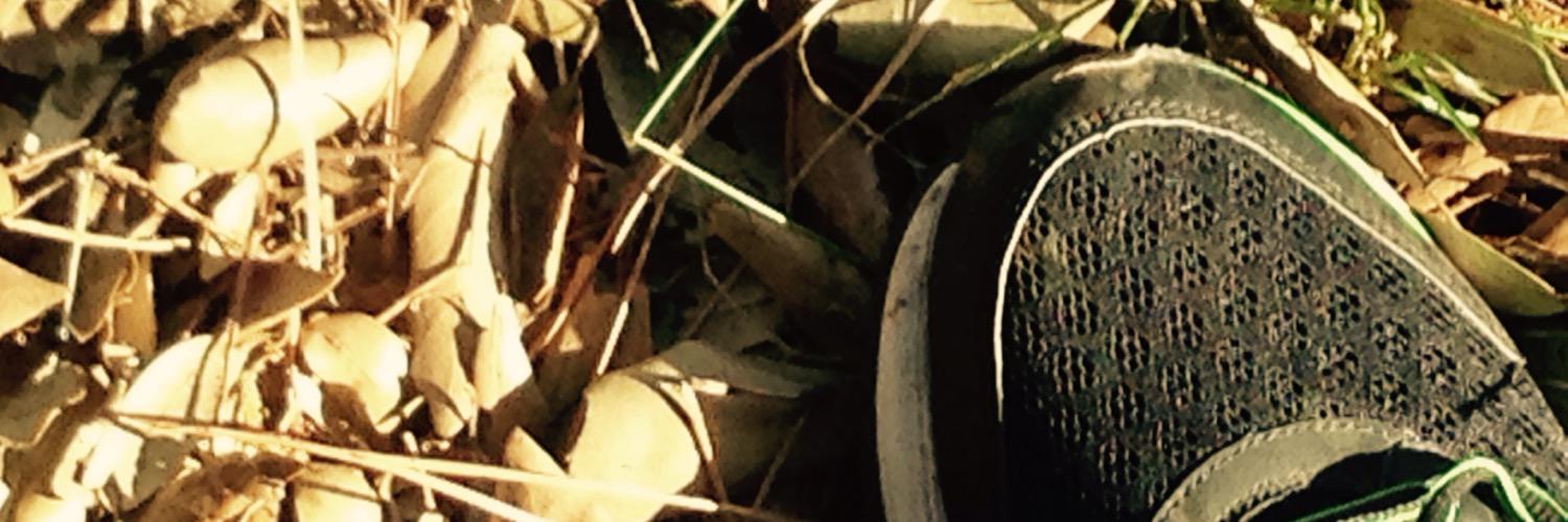 Tommasomassei's profile banner image
