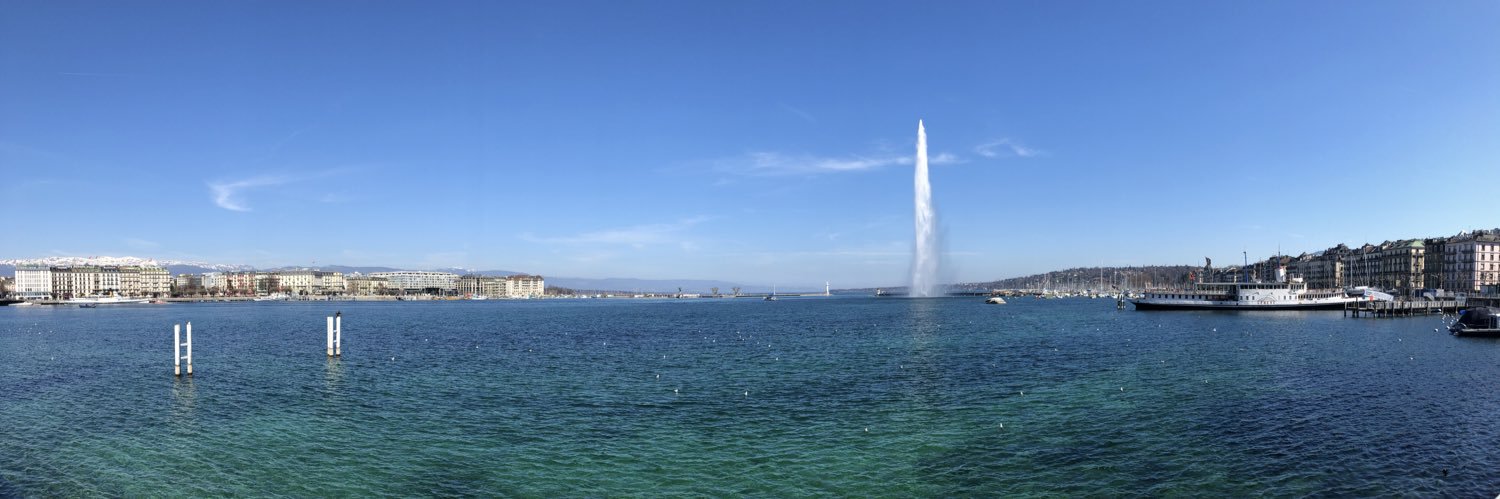 Thomas Hirons banner