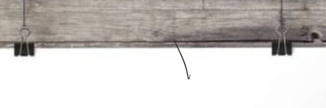 dhonnysaurus's profile banner image