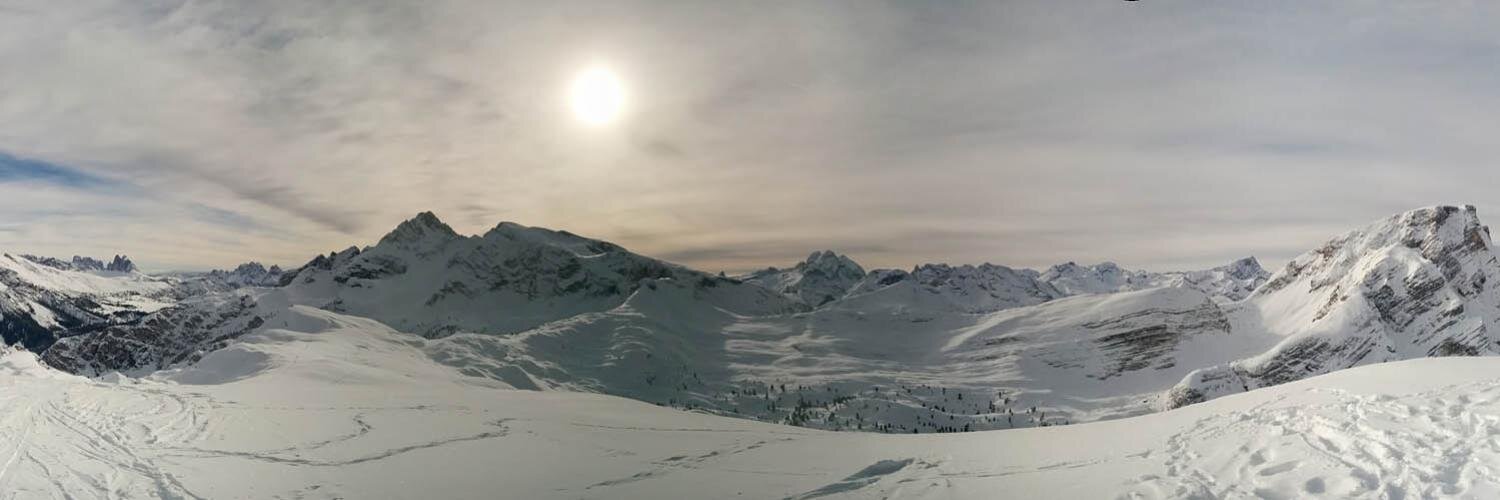 Robert Leiter banner