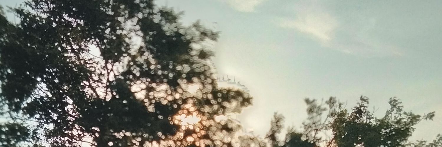 urlimerence10's profile banner image