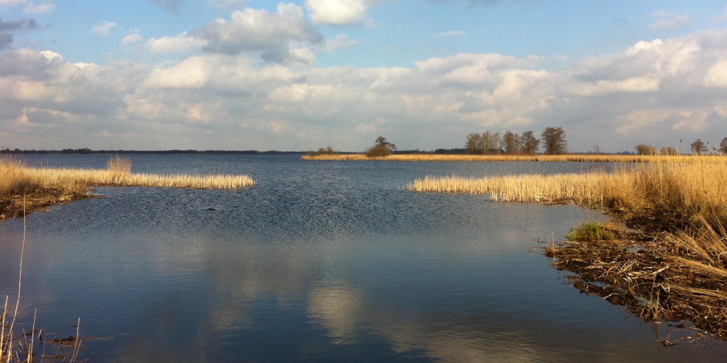 Ronald Vrielink banner