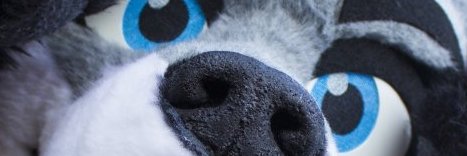 clanedecosta's profile banner image