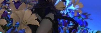 Raptor_____'s profile banner image