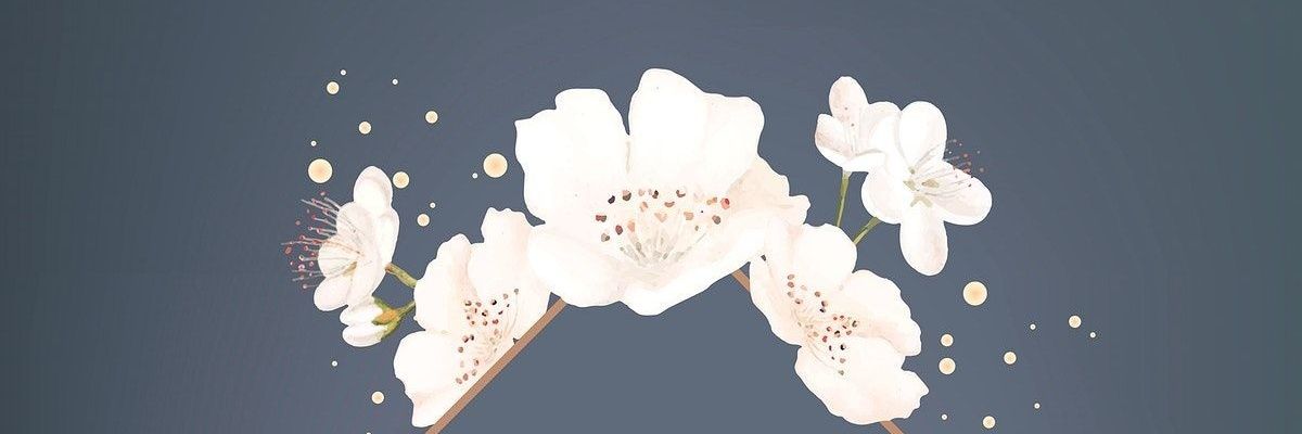 Sweezmeily's profile banner image