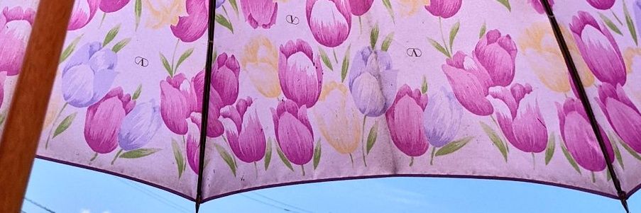 えむ banner
