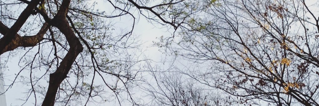 JessycaBeck's profile banner image