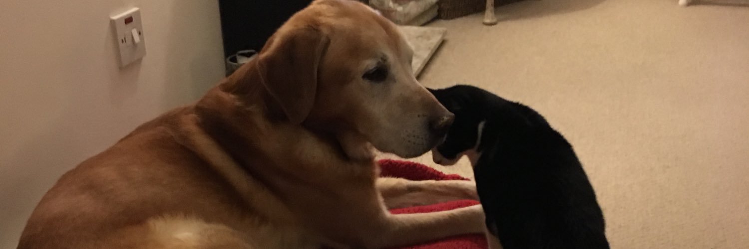 LaurenKateD's profile banner image