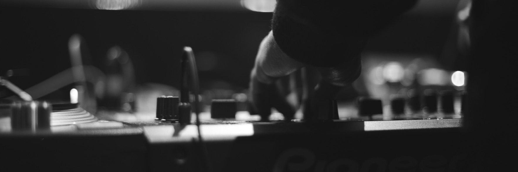 Domi Doobious banner