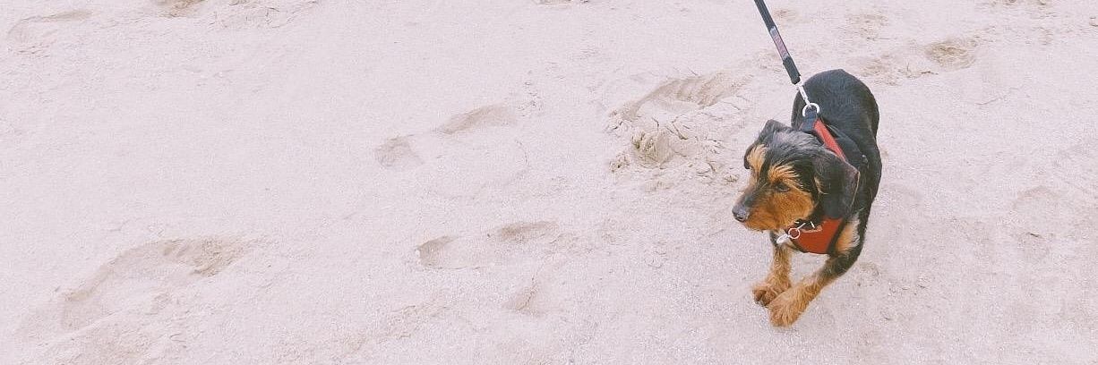 bobbyowen's profile banner image