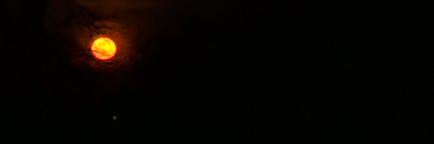 tjchawla's profile banner image