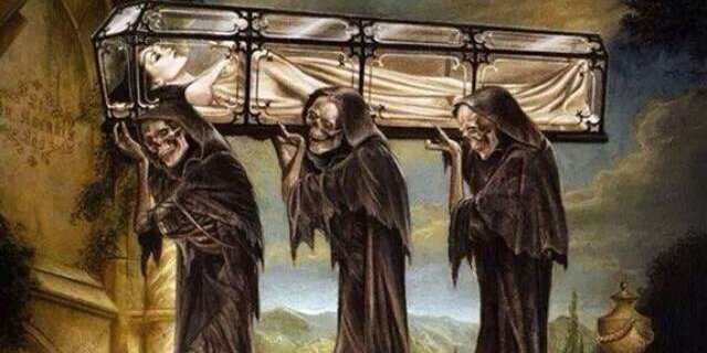 Susan Mertins-Jones banner