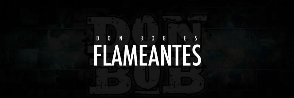 flameantes's profile banner image