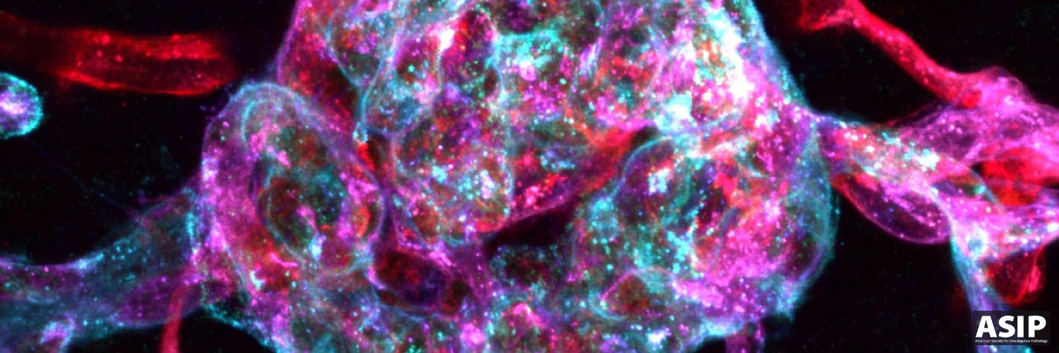 American Society for Investigative Pathology's banner