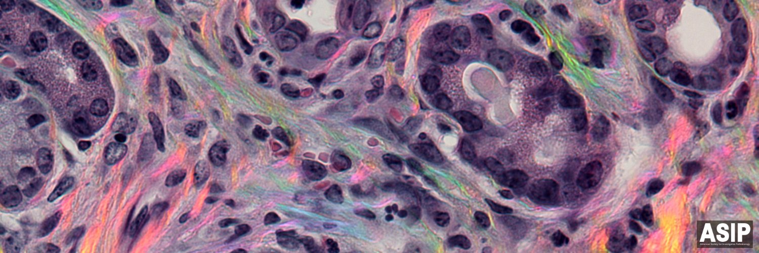 American Society for Investigative Pathobiology banner