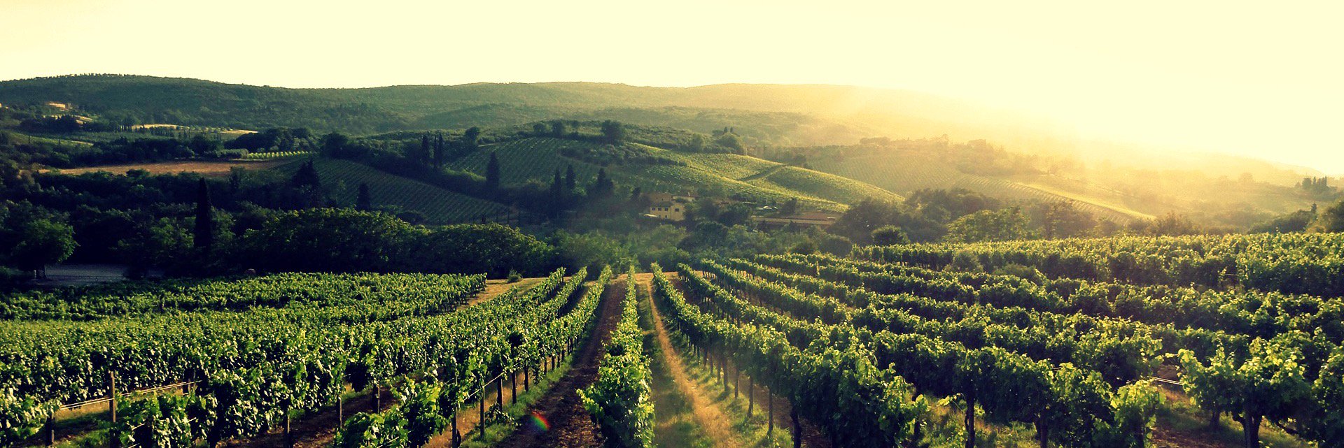 WingateProperty's profile banner image