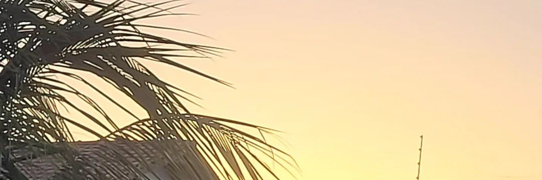 Edgar_Borges_'s profile banner image