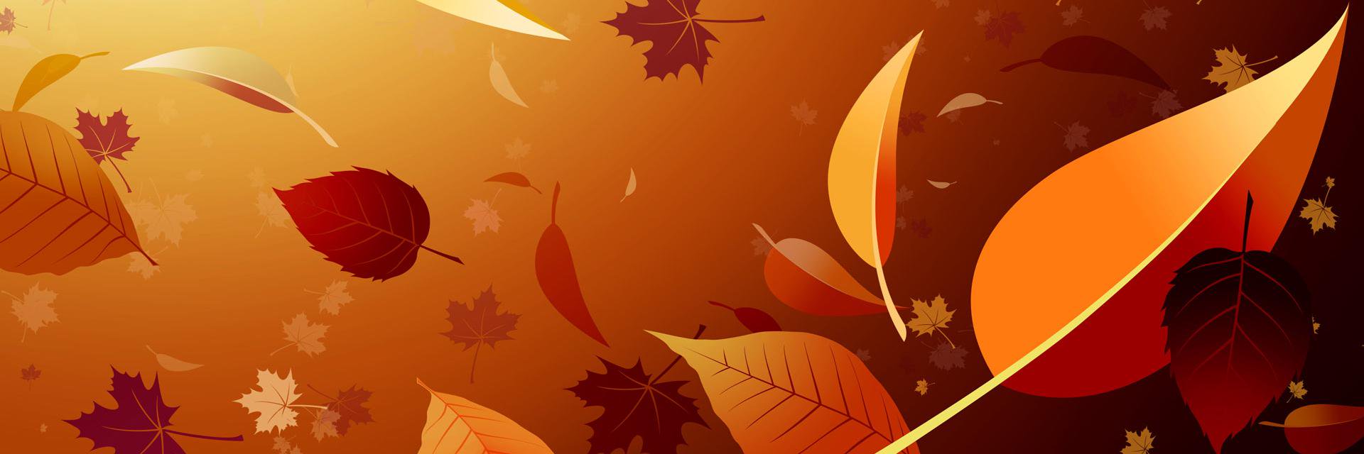 backwallpaper's profile banner image