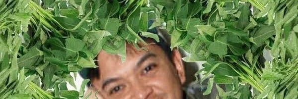ceasarioh's profile banner image