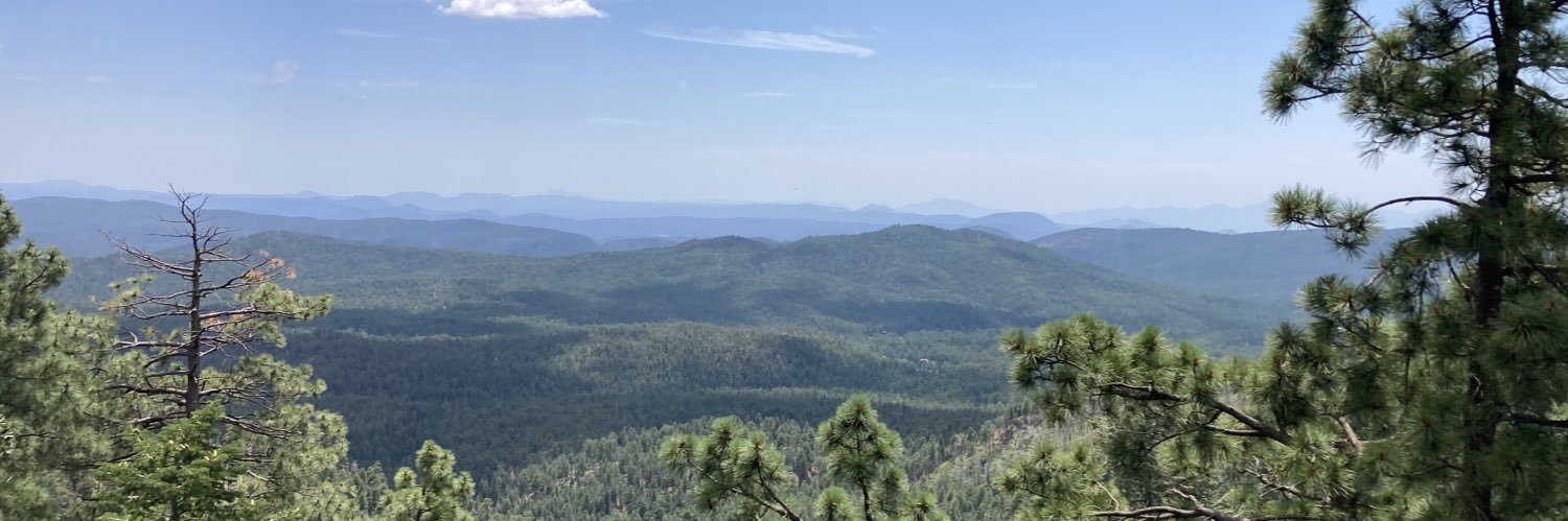 Paul J. Ramirez banner