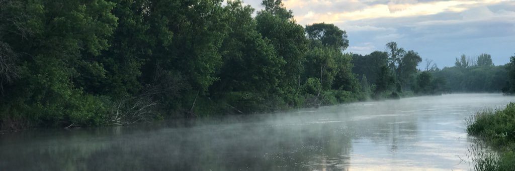 NFDunk's profile banner image