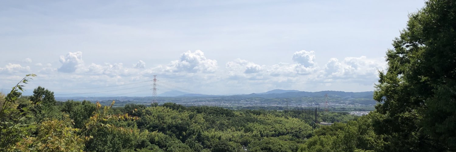 satinamo's profile banner image