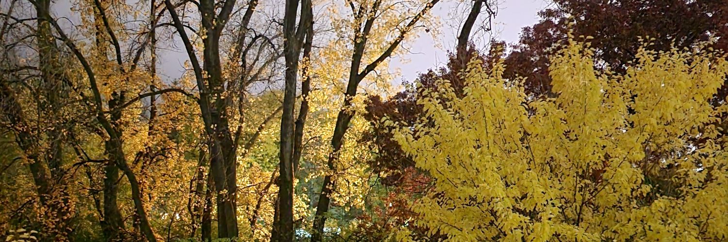 ZZTomH's profile banner image