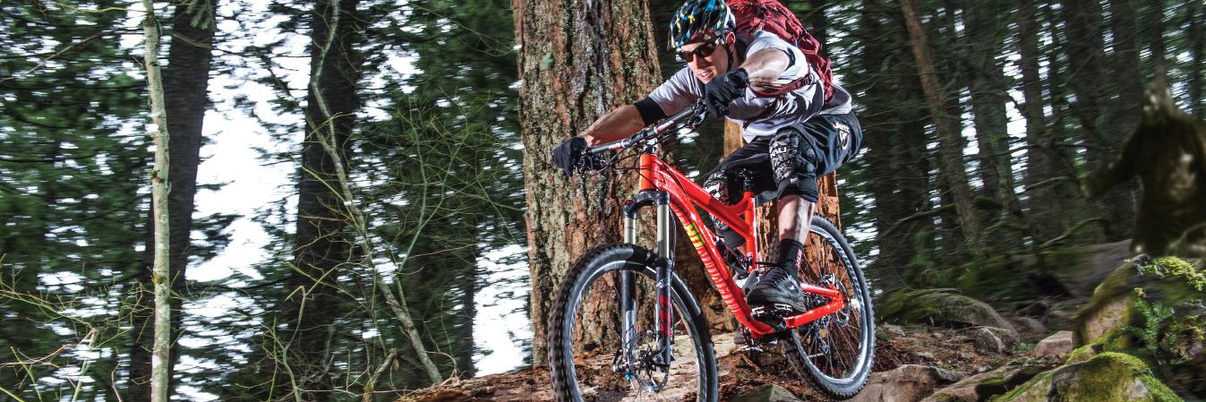 Diamondback Bicycles banner