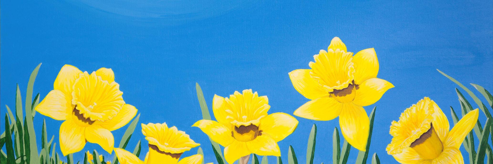 carolcapper's profile banner image