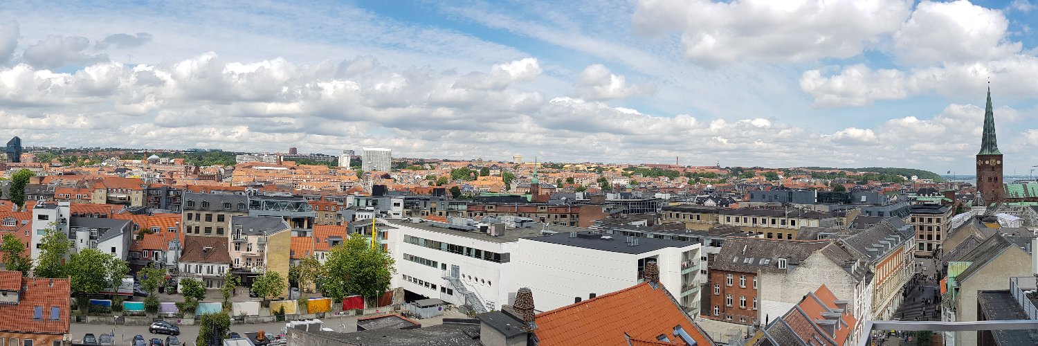 Shannon Mølhave banner