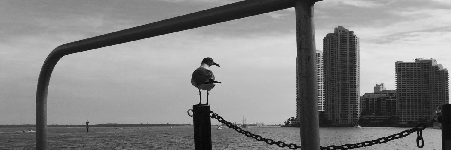 Kgraphic's profile banner image
