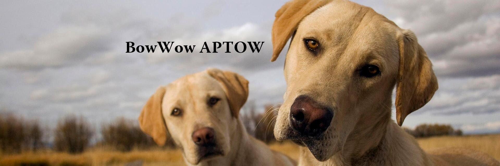 APTOW's profile banner image