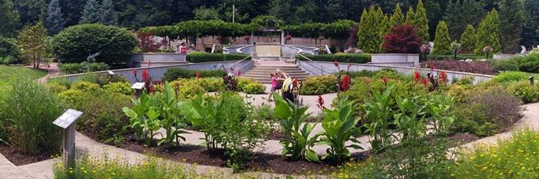 Heather Braun banner