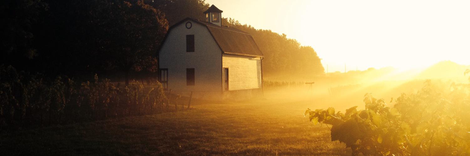Hidden Bench Winery banner
