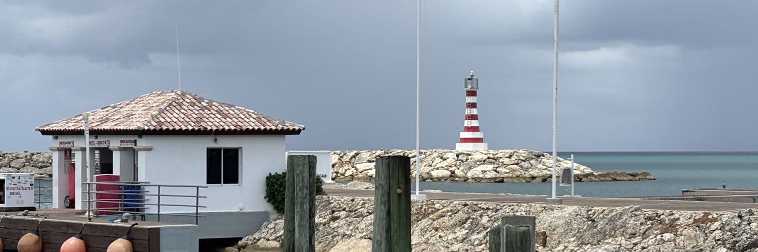 Ivan Jose Badia banner