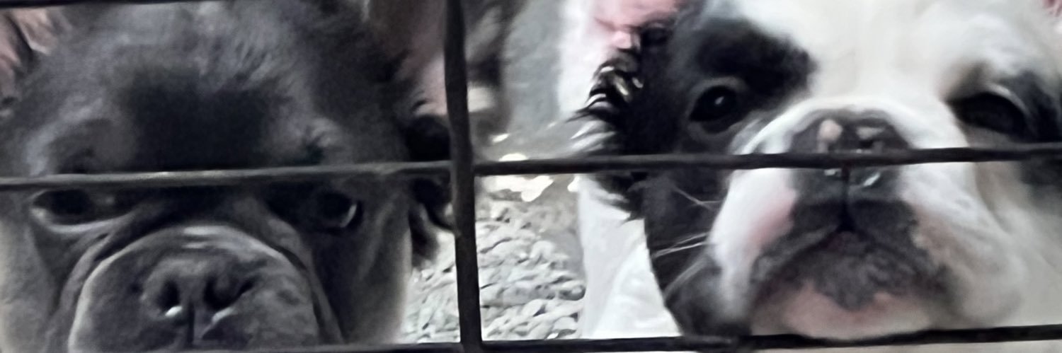4FOE4's profile banner image