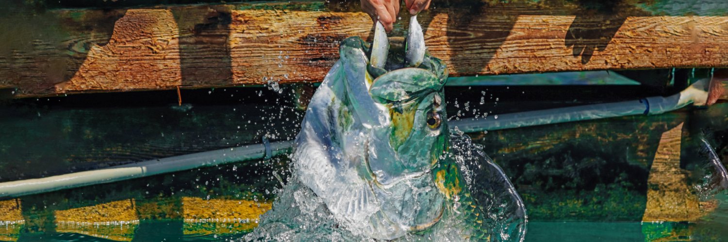 Robbie's of Islamorada banner